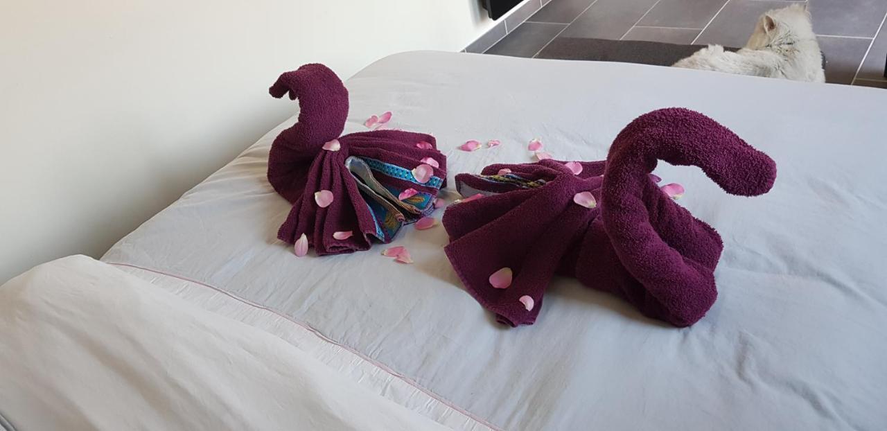 Baie De Somme - Le Pourquoi Pas Bed & Breakfast Le Crotoy Exterior foto